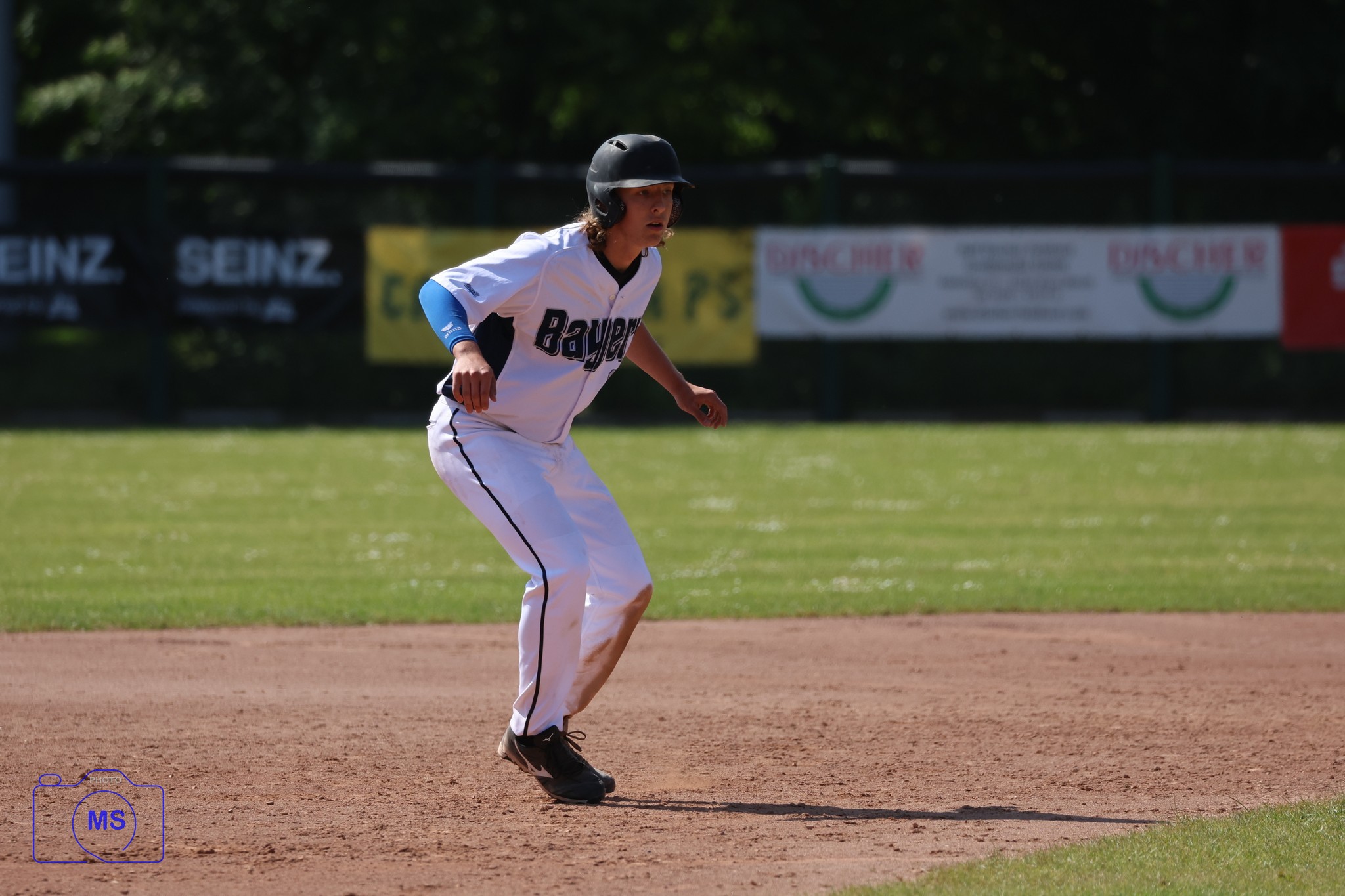 MS3 3782 1