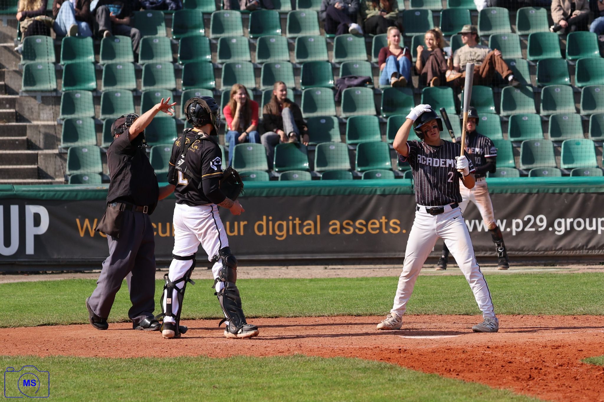 MS3 1307 1