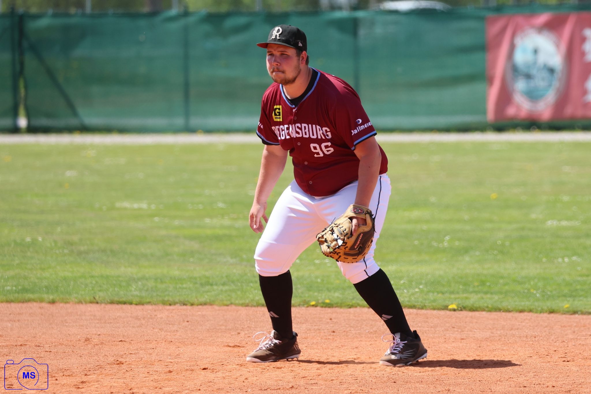 MS3 1567 1