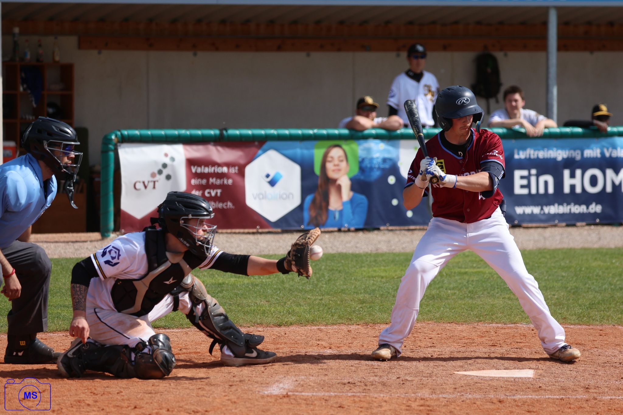 MS3 2784 1